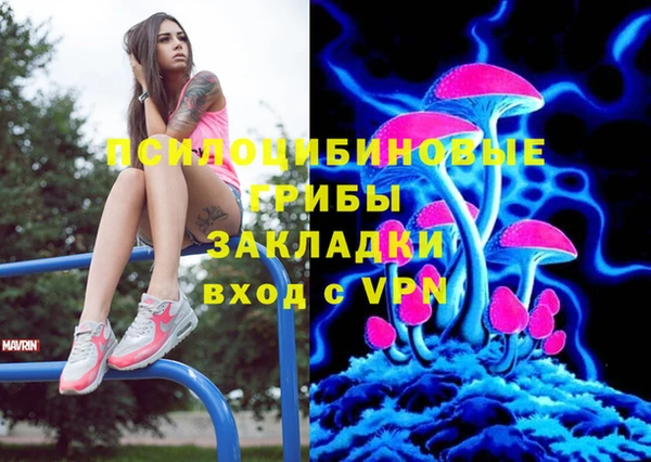 ПСИЛОЦИБИНОВЫЕ ГРИБЫ Покровск