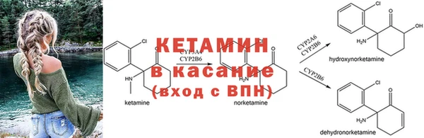 ПСИЛОЦИБИНОВЫЕ ГРИБЫ Покровск