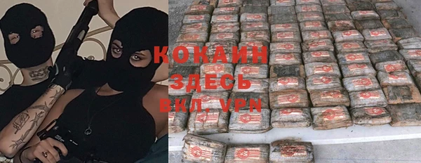 ПСИЛОЦИБИНОВЫЕ ГРИБЫ Покровск