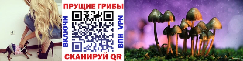 Галлюциногенные грибы прущие грибы  Купить где  Томск 